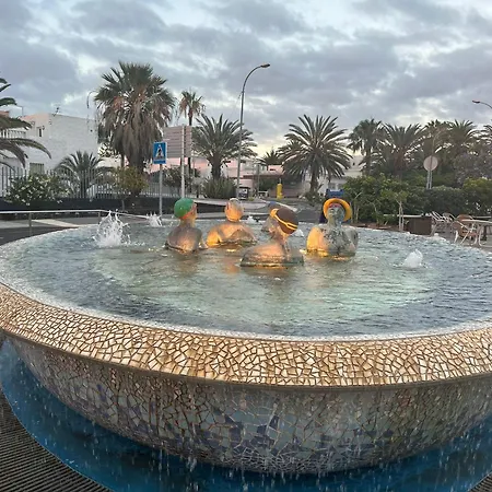 Arkadia Tenerife *